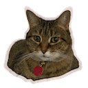 Tabby Hoarder  screen for extension Chrome web store in OffiDocs Chromium