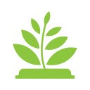 TabFern tab manager and backup tool  screen for extension Chrome web store in OffiDocs Chromium