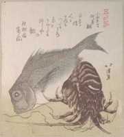 Free download Tai Fish and Lobster; Specialities of Yanagiya in Odawara-cho free photo or picture to be edited with GIMP online image editor
