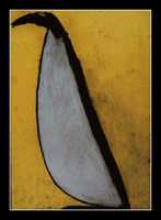 Free download Takashi Shuji Penguin free photo or picture to be edited with GIMP online image editor