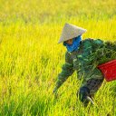 Taking care of fields  screen for extension Chrome web store in OffiDocs Chromium