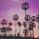 Tall palm trees  screen for extension Chrome web store in OffiDocs Chromium