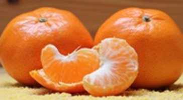 Free download tangerine free photo or picture to be edited with GIMP online image editor