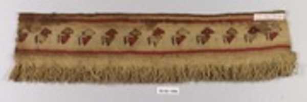 Free download Tapestry Fragment with Fringe free photo or picture to be edited with GIMP online image editor