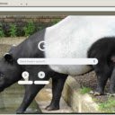 Tapir  screen for extension Chrome web store in OffiDocs Chromium