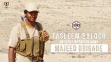 Free download tasleem baloch free photo or picture to be edited with GIMP online image editor