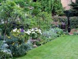 Free download Tatler Lifestyle free photo or picture to be edited with GIMP online image editor