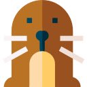 Taupe Insignes  screen for extension Chrome web store in OffiDocs Chromium