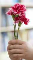 Free download teacher flowers free photo or picture to be edited with GIMP online image editor