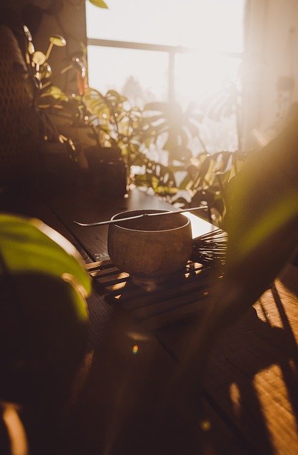 Free download tea matcha green tea morning free picture to be edited with GIMP free online image editor