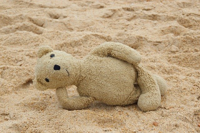 Free download Teddy Bear Beach free photo template to be edited with GIMP online image editor