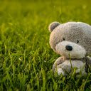 Teddy Bear on Grass  screen for extension Chrome web store in OffiDocs Chromium