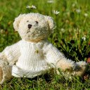 Teddy bear on the grass  screen for extension Chrome web store in OffiDocs Chromium