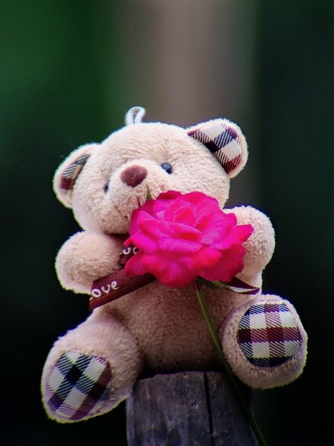 Descargue gratis la imagen gratuita de peluche de oso de peluche para editar con el editor de imágenes en línea gratuito GIMP