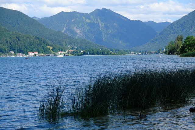 免费下载泰根湖巴伐利亚风景自然免费图片，使用 GIMP 免费在线图像编辑器进行编辑