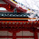 Temples Roofline Amidst Cherry Blossom Snow  screen for extension Chrome web store in OffiDocs Chromium