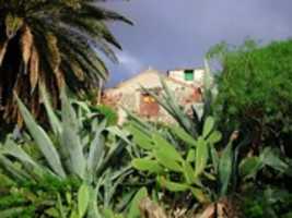 Free download Tenerife_James_Roudet free photo or picture to be edited with GIMP online image editor