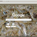 Tep  screen for extension Chrome web store in OffiDocs Chromium