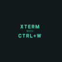xterm ctrl w capture  screen for extension Chrome web store in OffiDocs Chromium