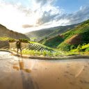 Terraced Fields  screen for extension Chrome web store in OffiDocs Chromium