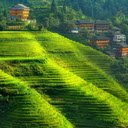 Terraced Fields and Village  screen for extension Chrome web store in OffiDocs Chromium