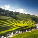 Terraced fields on the hills  screen for extension Chrome web store in OffiDocs Chromium