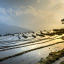 Terraced fields soaked in water  screen for extension Chrome web store in OffiDocs Chromium