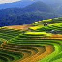 Terraced fields wallpaper  screen for extension Chrome web store in OffiDocs Chromium