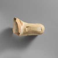 Free download Terracotta amphora handle with stamp free photo or picture to be edited with GIMP online image editor