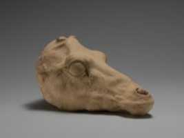 Free download Terracotta head of a deer free photo or picture to be edited with GIMP online image editor