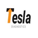 Tesla Diagnostic  screen for extension Chrome web store in OffiDocs Chromium