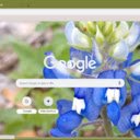 Texas Bluebonnet  screen for extension Chrome web store in OffiDocs Chromium