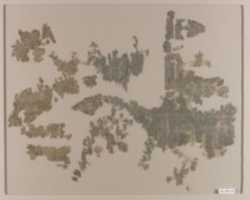 Free download Textile Fragment with Addorsed Parrots and Griffins free photo or picture to be edited with GIMP online image editor