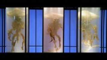 Free download THE ALIEN FILES DISCLOSURE free photo or picture to be edited with GIMP online image editor