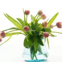 The art of flower arrangement  screen for extension Chrome web store in OffiDocs Chromium