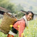 The beauty of the highlands  screen for extension Chrome web store in OffiDocs Chromium