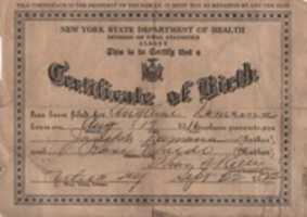 Free download The Birth Certificate of Angeline Damiano free photo or picture to be edited with GIMP online image editor