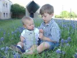 Free download the boys w the blue bonnets free photo or picture to be edited with GIMP online image editor