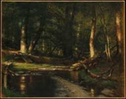 Free download The Brook in the Woods free photo or picture to be edited with GIMP online image editor