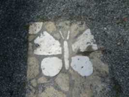 ດາວໂຫຼດ The Butterfly Symbol for the Butterfly Garden ຟຼີຮູບ ຫຼື ຮູບພາບເພື່ອແກ້ໄຂດ້ວຍຕົວແກ້ໄຂຮູບພາບອອນໄລນ໌ GIMP