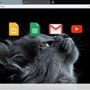 The Cat  screen for extension Chrome web store in OffiDocs Chromium