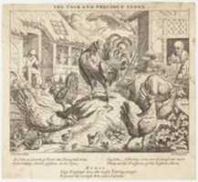 Free download The Cock and the Precious Stone, from Aesops Fables free photo or picture to be edited with GIMP online image editor