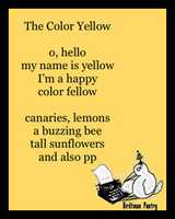 Free download The Color Yellow free photo or picture to be edited with GIMP online image editor