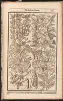 Free download The Compleat Gardeners Practice, Directing the Exact Way of Gardening in three Parts. free photo or picture to be edited with GIMP online image editor