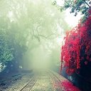 ThE coOl mOthEr nAturE Mix v6  screen for extension Chrome web store in OffiDocs Chromium