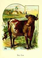 Free download The Cow (1890) free photo or picture to be edited with GIMP online image editor