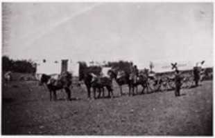 Free download The Crack Team of the 1st Division, 6th Corps near Hazel River, Virginia free photo or picture to be edited with GIMP online image editor