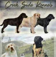 Free download The Creekside Kennel free photo or picture to be edited with GIMP online image editor