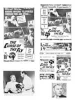 Free download The Curse of the Fly Ad Sheet free photo or picture to be edited with GIMP online image editor