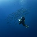 The diver and the fish  screen for extension Chrome web store in OffiDocs Chromium
